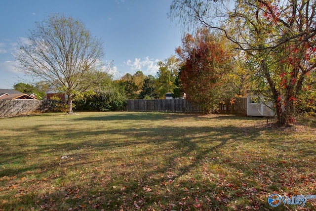 view of yard featuring a shed