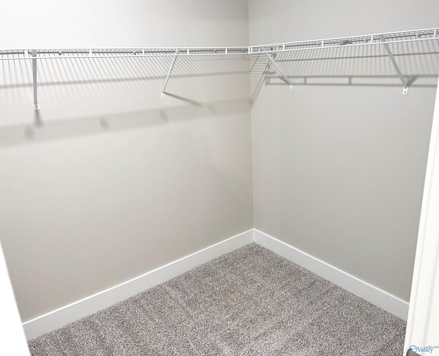 spacious closet with carpet flooring