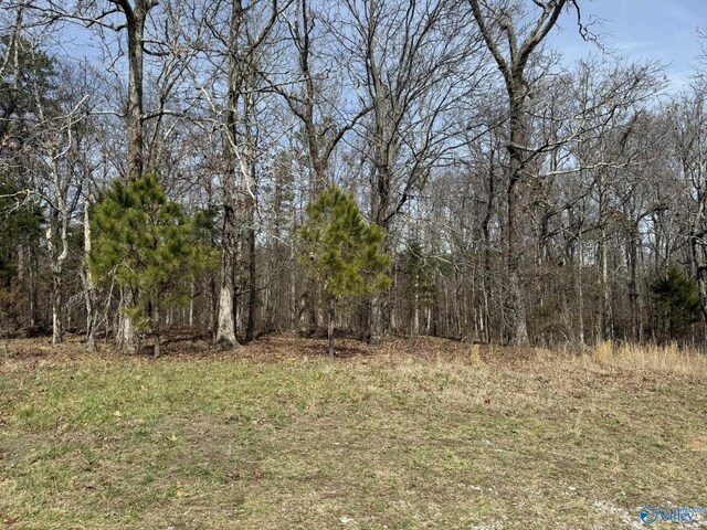 view of yard featuring a forest view