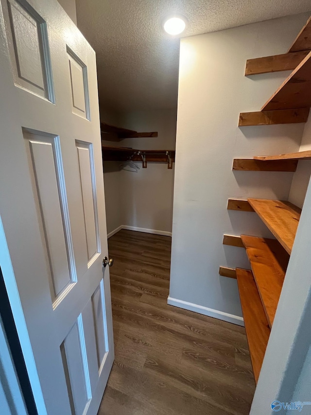 spacious closet featuring dark wood-style floors