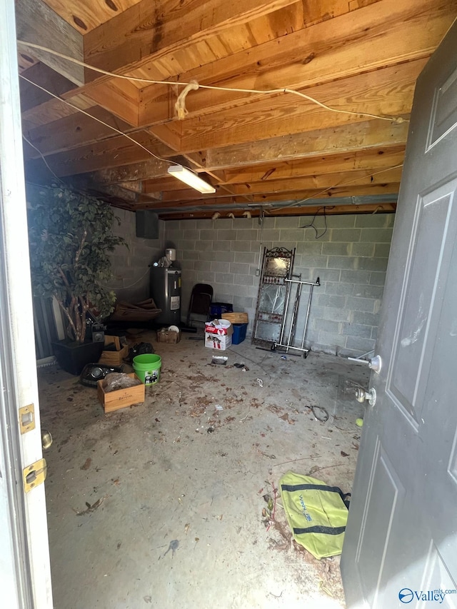 basement with concrete block wall