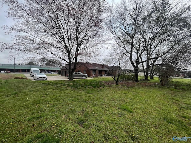 view of yard with concrete driveway
