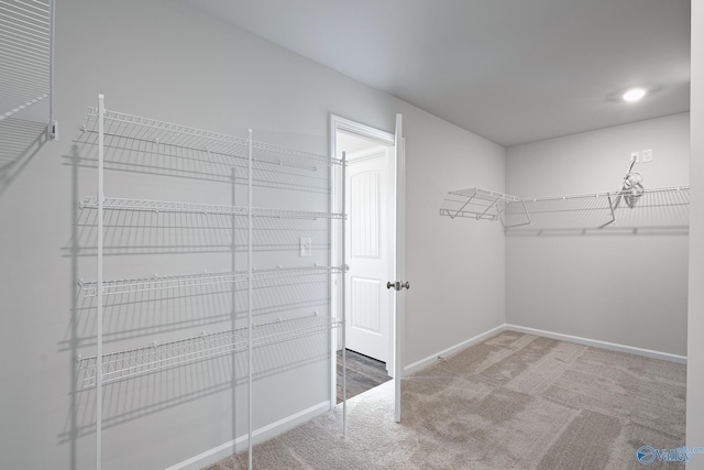 117 Huffman St, Hazel Green, AL 35750 - spacious closet with carpet floors