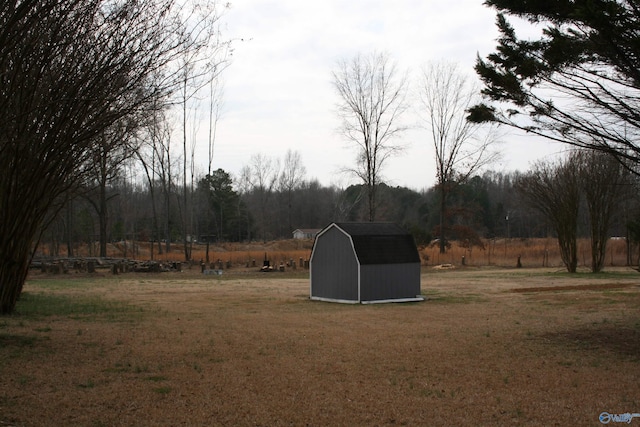 view of yard with a storage shed