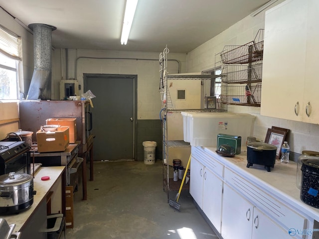 basement featuring concrete block wall