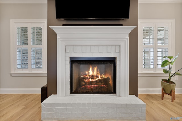 details featuring hardwood / wood-style flooring and a fireplace