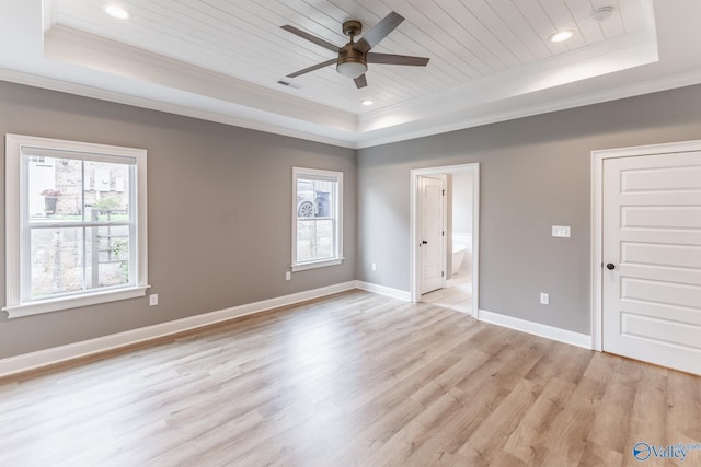 spare room featuring a raised ceiling and crown molding