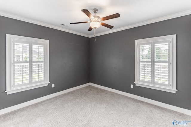 carpeted spare room with ceiling fan and ornamental molding