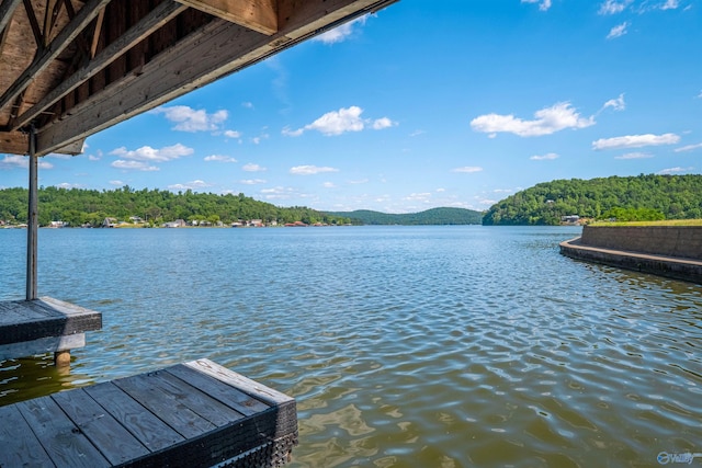 dock area with a water view