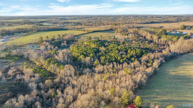 bird's eye view featuring a rural view