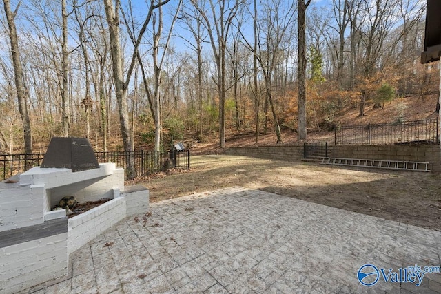 view of yard with a patio area