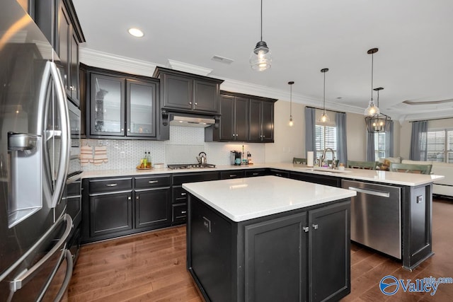 kitchen with kitchen peninsula, a kitchen island, stainless steel appliances, and decorative light fixtures