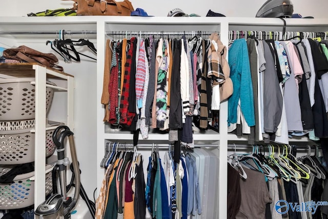 view of walk in closet