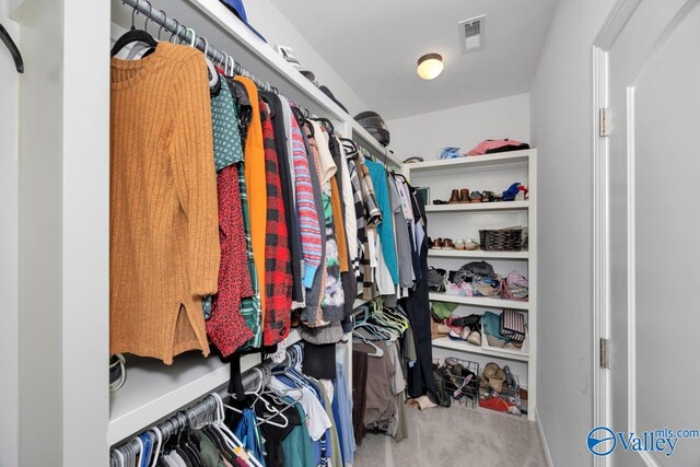 spacious closet with carpet floors