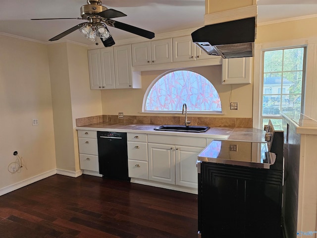 kitchen with white cabinetry, dishwasher, sink, dark hardwood / wood-style flooring, and range hood