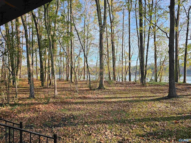 view of yard with a water view