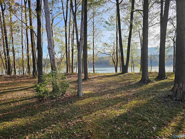 view of yard with a water view