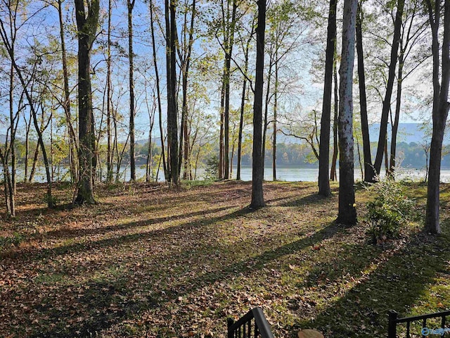 view of yard featuring a water view