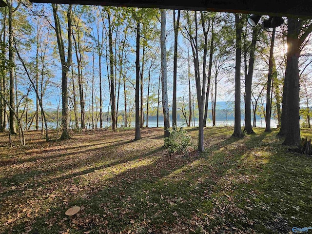 view of yard featuring a water view