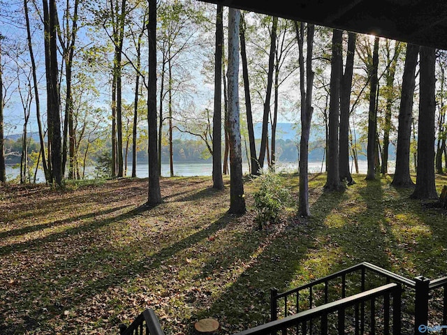 view of yard with a water view