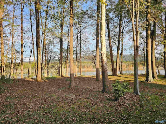 view of yard featuring a water view