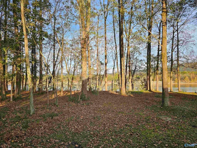 view of yard with a water view