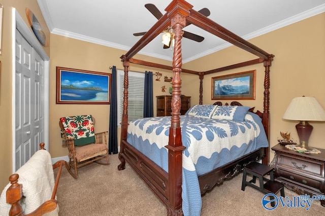 carpeted bedroom with ceiling fan, a closet, and crown molding