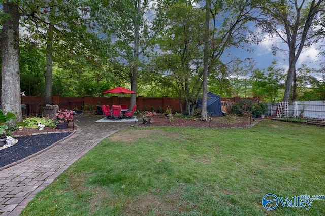 view of yard featuring a shed and a patio area