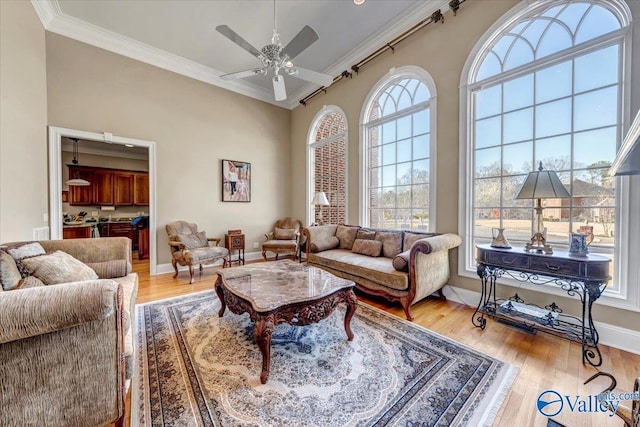 living area featuring wood finished floors, baseboards, a towering ceiling, and ornamental molding