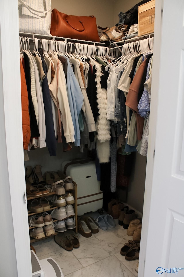 view of spacious closet