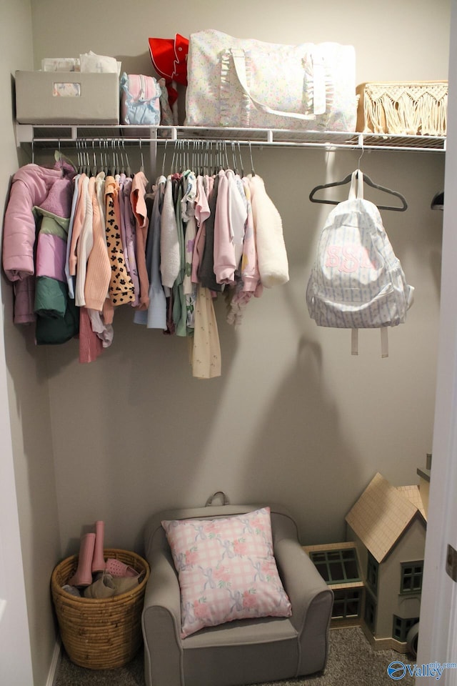 view of closet