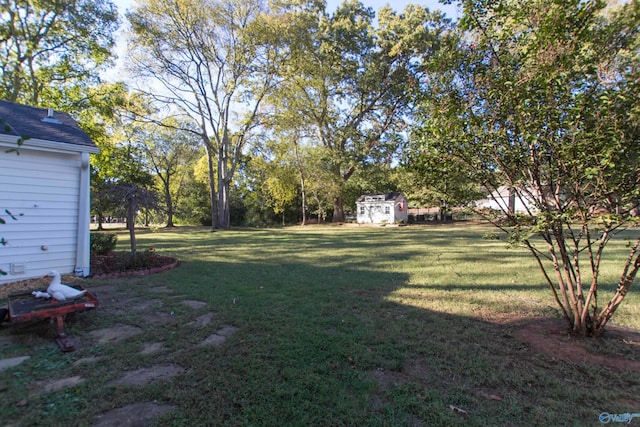 view of yard with a storage unit