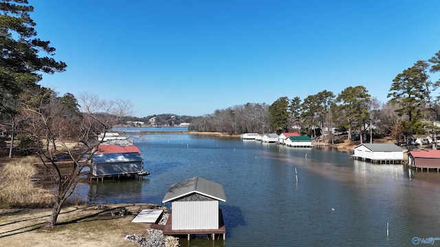 dock area with a water view