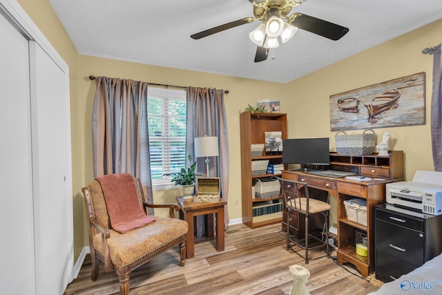 office featuring ceiling fan and light wood-type flooring