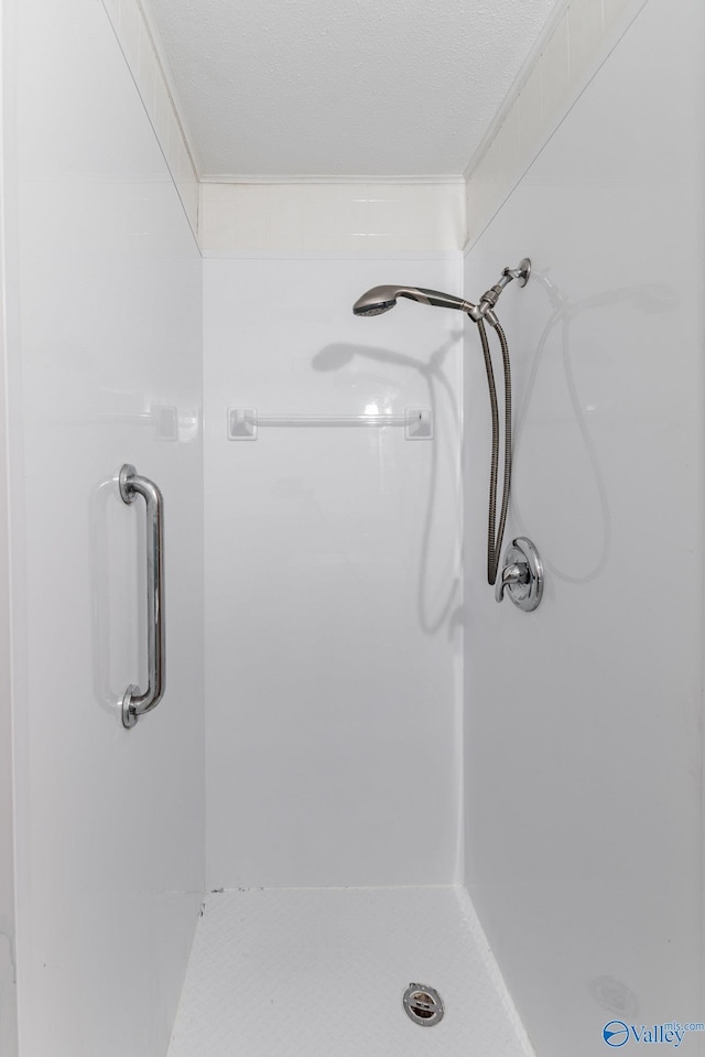 full bathroom with a stall shower