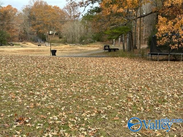 view of yard featuring a trampoline