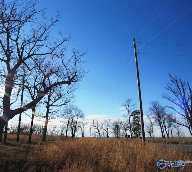 Listing photo 2 for 98ACRES County Road 89, Mentone AL 35984