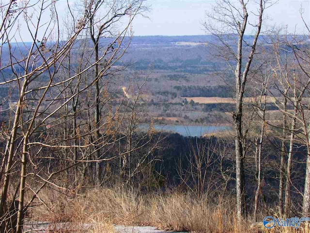 Listing photo 3 for 98ACRES County Road 89, Mentone AL 35984