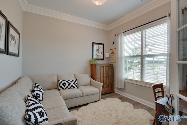 living room featuring light hardwood / wood-style flooring, crown molding, and plenty of natural light