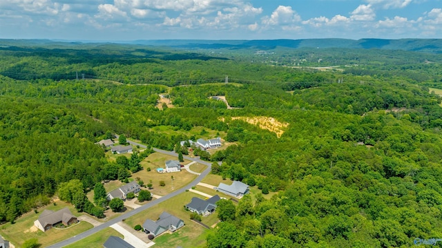 aerial view with a forest view