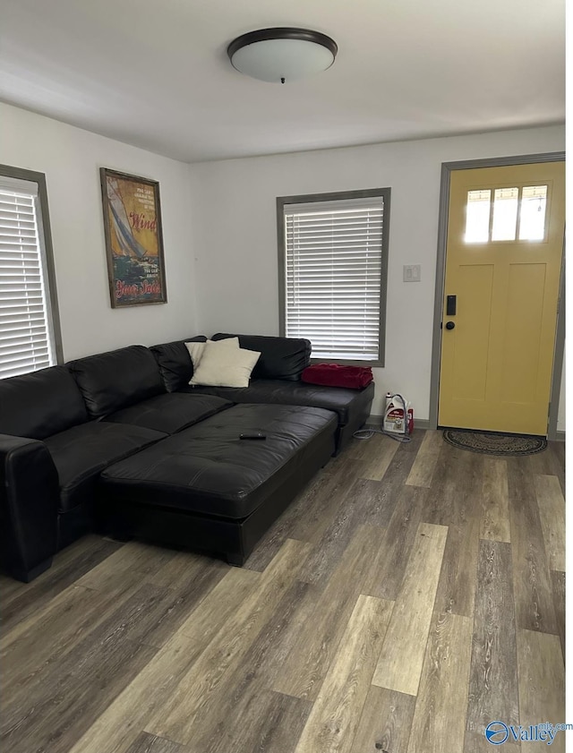 living room with hardwood / wood-style floors