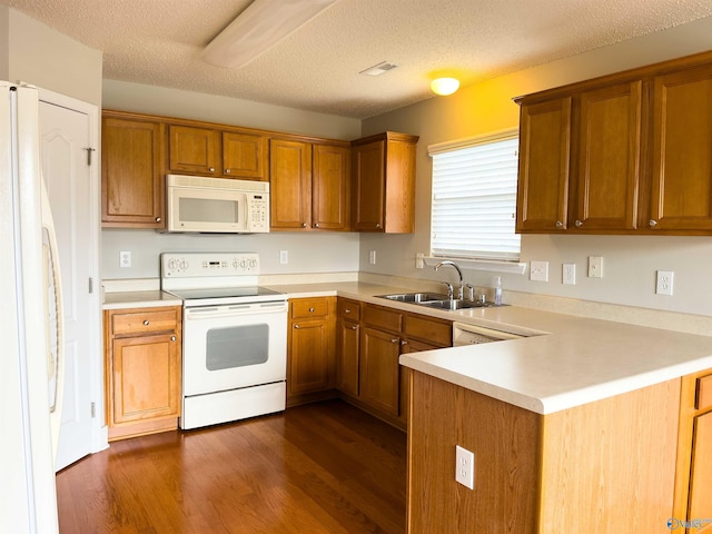 kitchen featuring a textured ceiling, dark hardwood / wood-style flooring, white appliances, and sink