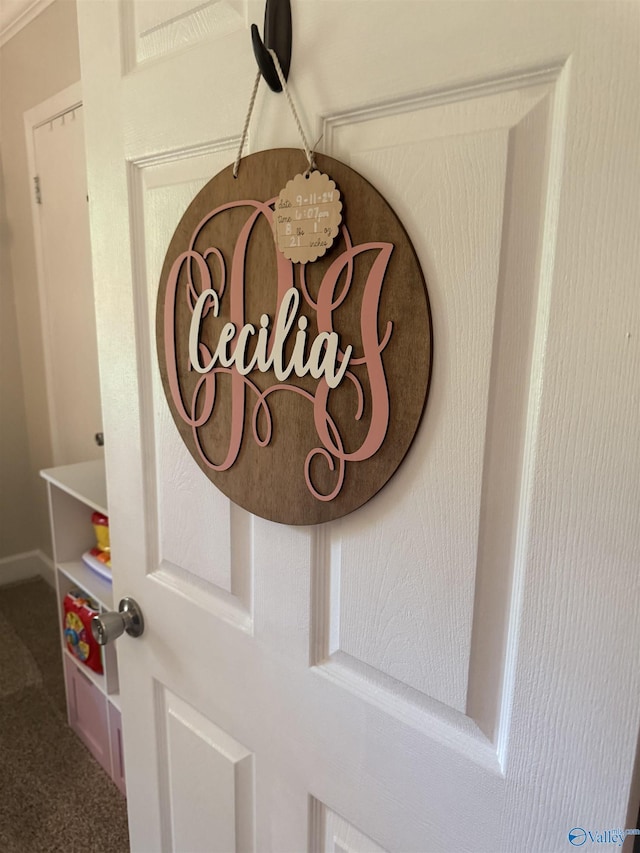 403 Taylor Rd, Glencoe, AL 35905 - detailed view of carpet flooring