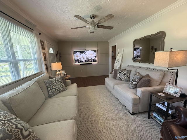 403 Taylor Rd, Glencoe, AL 35905 - living area featuring a ceiling fan, a textured ceiling, ornamental molding, and wood finished floors