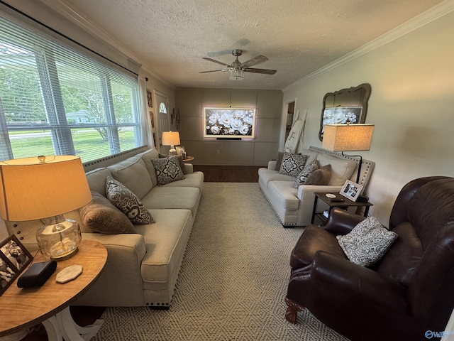 403 Taylor Rd, Glencoe, AL 35905 - living area with a ceiling fan, crown molding, a textured ceiling, and wood finished floors