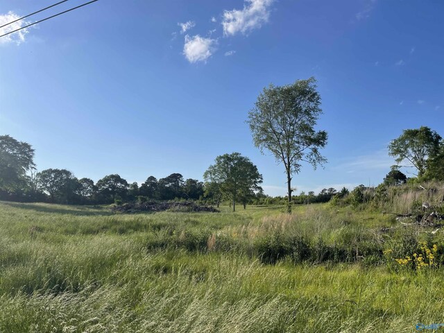 view of landscape with a rural view