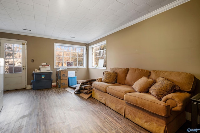 living room with wood-type flooring and crown molding