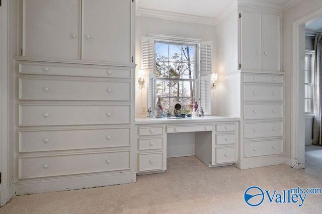 interior space with light colored carpet and built in desk