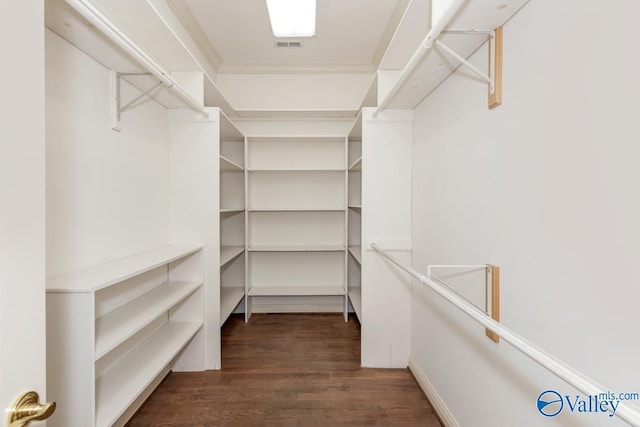 spacious closet with visible vents and dark wood finished floors
