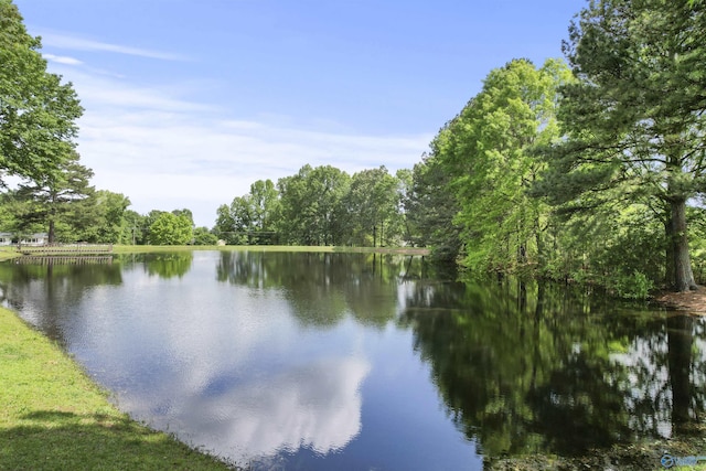 1025 Berkley Rd, Arab, AL 35016 - water view with a heavily wooded area